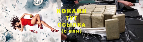 шишки Абаза