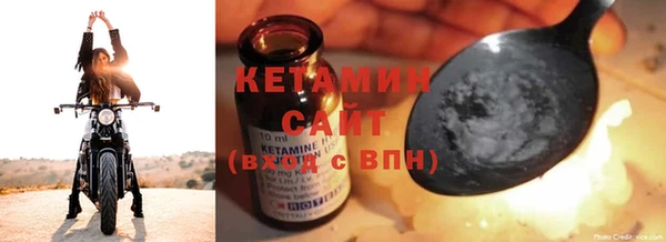 шишки Абаза