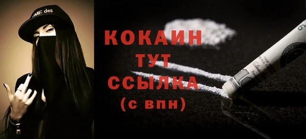 шишки Абаза