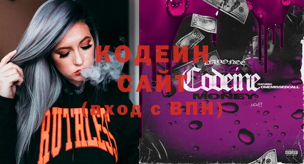 шишки Абаза