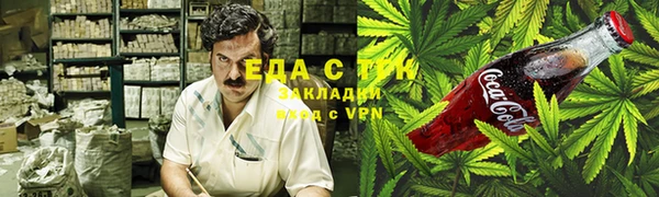 шишки Абаза