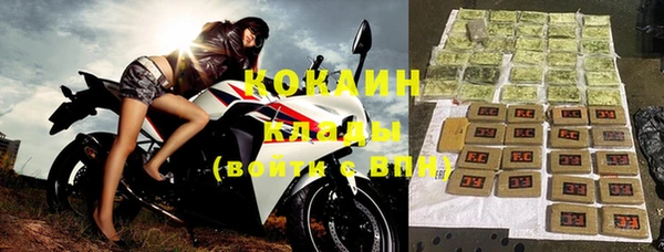 шишки Абаза