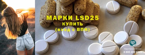 шишки Абаза