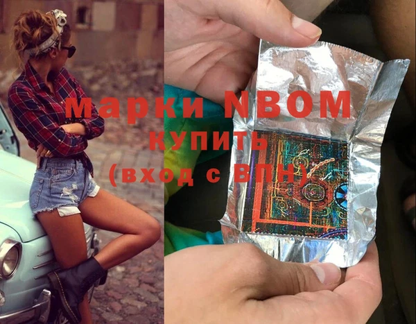 шишки Абаза