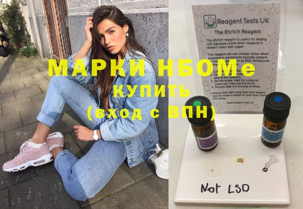 шишки Абаза