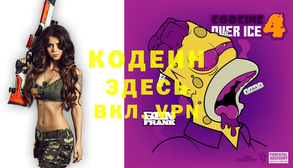 шишки Абаза