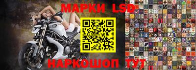 сатива Малгобек