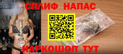сатива Малгобек