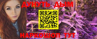 сатива Малгобек