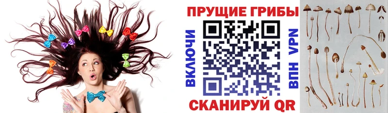 Галлюциногенные грибы мухоморы Скопин
