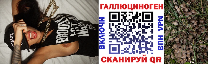 Псилоцибиновые грибы мухоморы  Скопин 