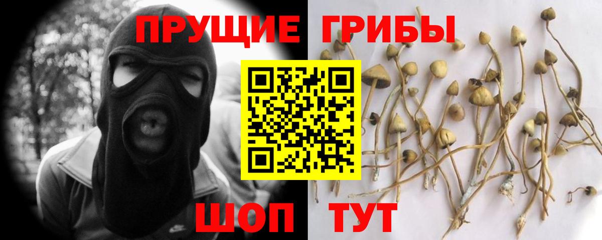 Галлюциногенные грибы прущие грибы  Вход с VPN  Скопин 