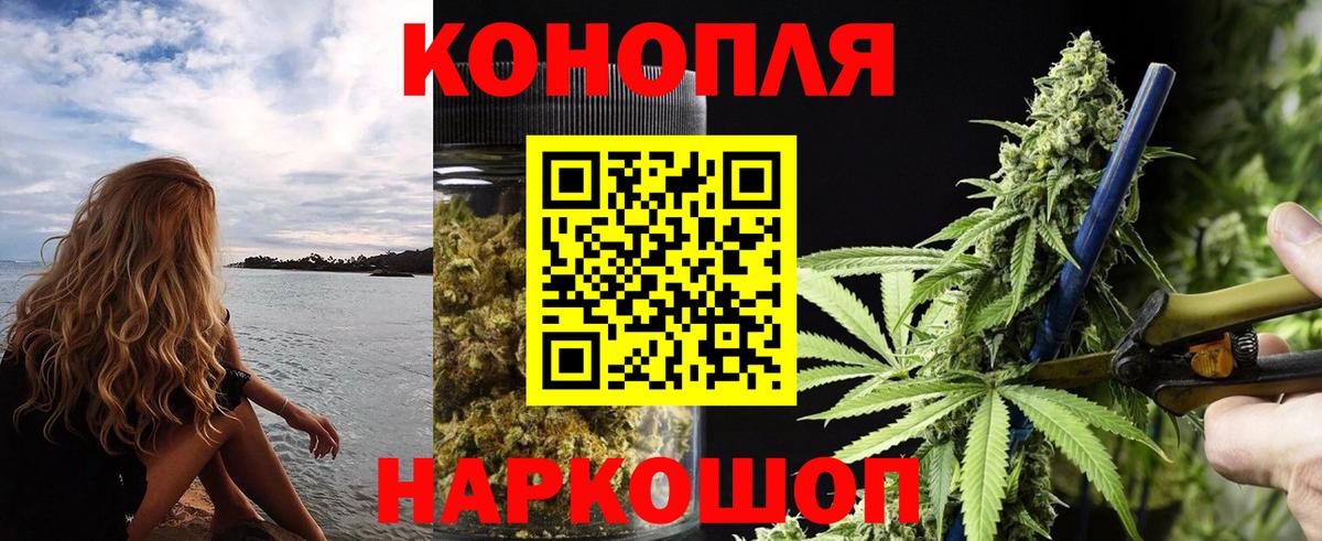 Конопля MAZAR  Канабис тримм  Вход с VPN  Скопин 